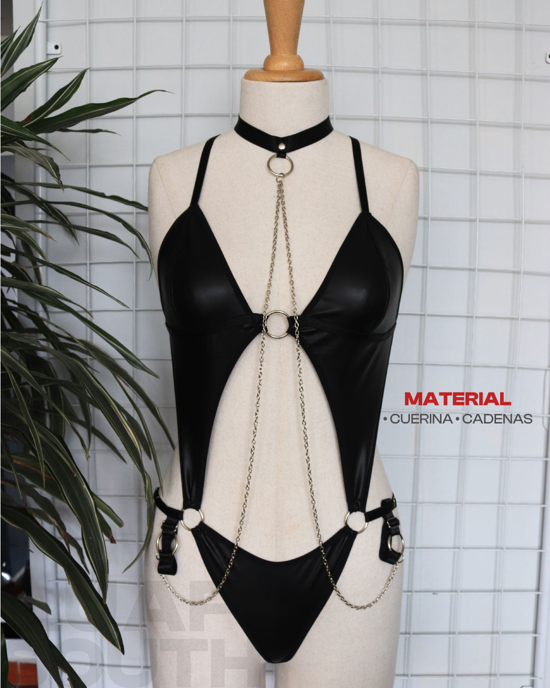 Body Zania